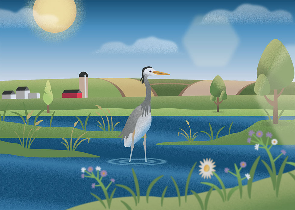 Process image from the Long Island Sound Partnership project