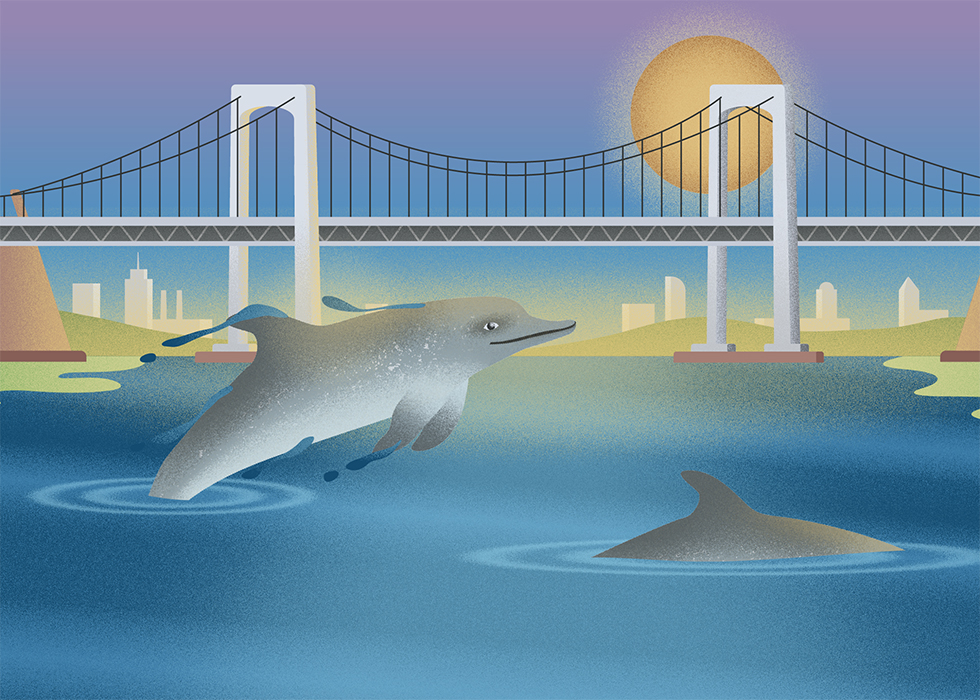 Process image from the Long Island Sound Partnership project