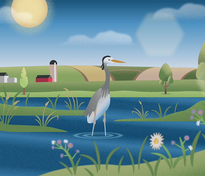 Long Island Sound Partnership project image