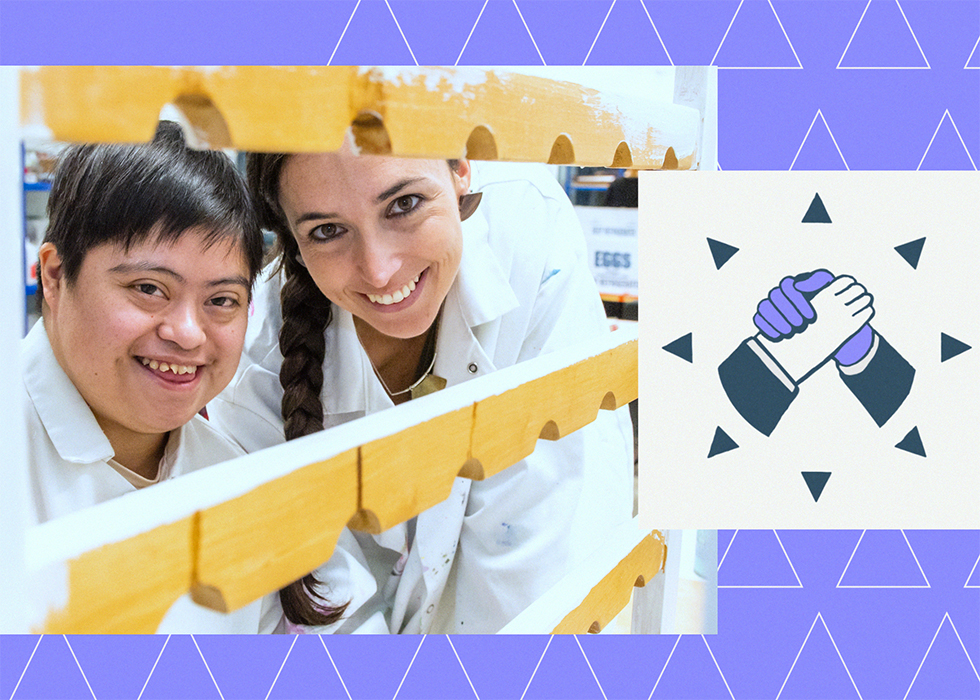 Process image from the Long Island Sound Partnership project