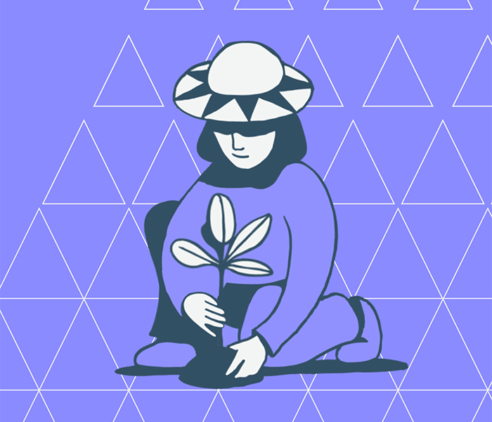 Alula project thumbnail image