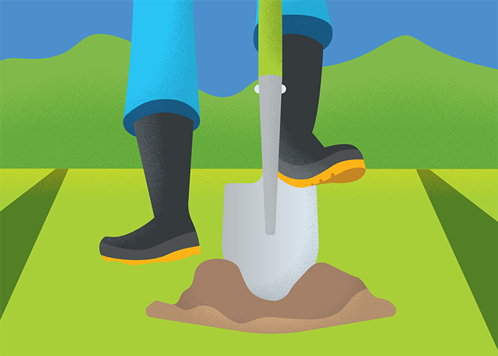 Image of the FarmFirst project process