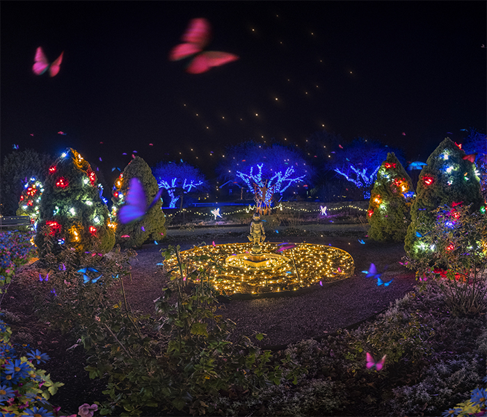 Shelburne Museum Winter Lights project image